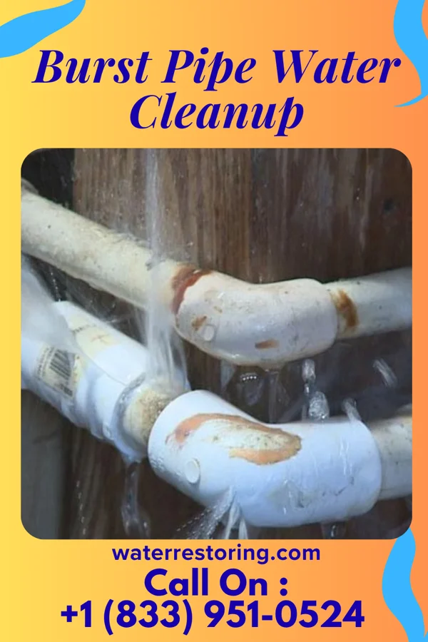 Burst Pipe Water Cleanup in Iron Junction, MN