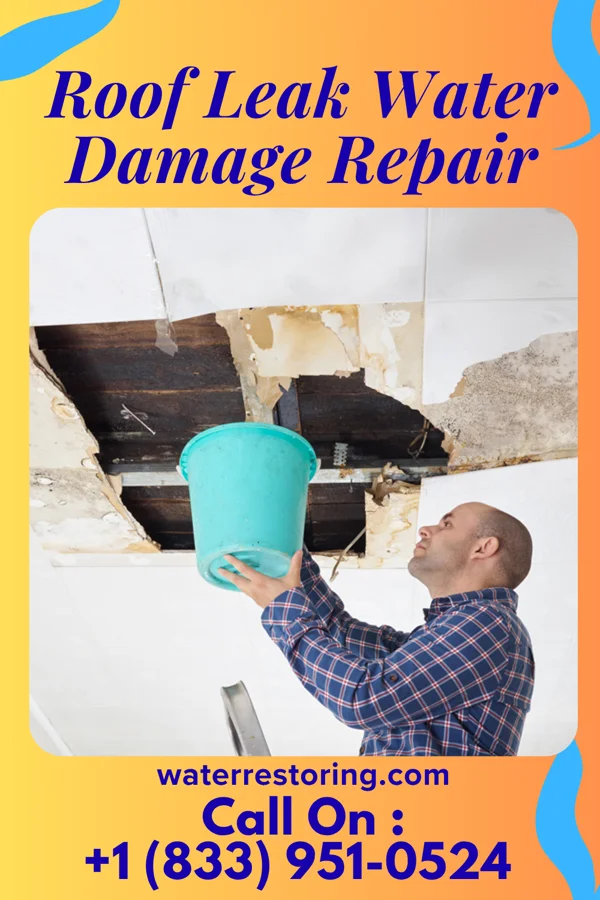 Roof Leak Water Damage Repair in Iron Junction, MN